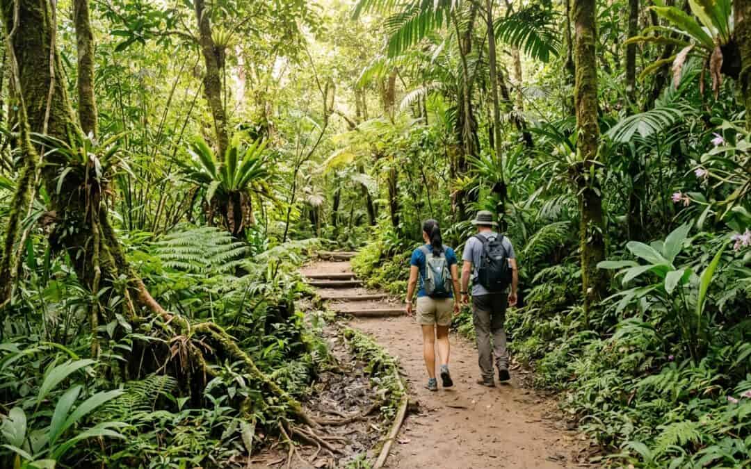 Best hiking trails in Asia for every level — from Sunday walks to serious summits