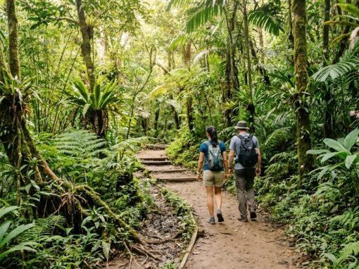 Best hiking trails in Asia for every level — from Sunday walks to serious summits Best hiking trails in Asia for every level — from Sunday walks to serious summits